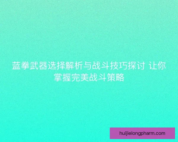 蓝拳武器选择解析与战斗技巧探讨 让你掌握完美战斗策略